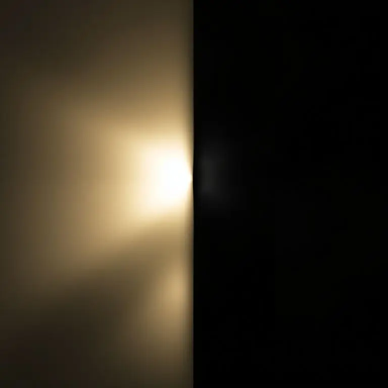 3.商品レビュー活用の明暗：実際適用事例と潜在的問題点